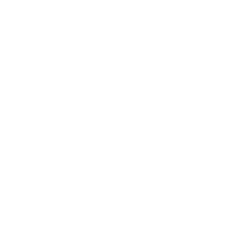 reise_icon_1